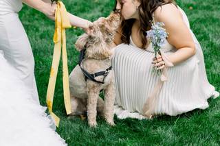 Happy Bark & Tails - 28
