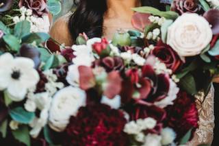 Ali Lomazzo Beauty - 33