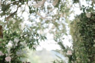 Gina Petersen Photography - 5