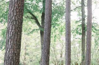 Marshall Arts Photography - 28