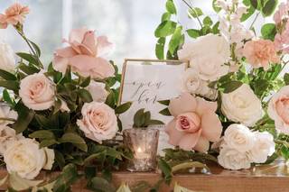 Meristem Floral - 16