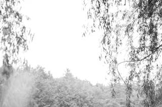 Rob Spring Photography - 42