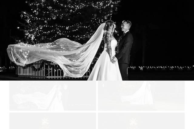 Susan DeLoach Photography 4