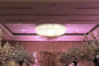 B Posh Events - 17
