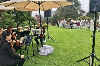 Sutro String Quartet - 6