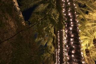 Arizona Grand Resort & Spa - 23