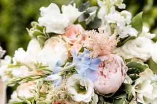 Blooming Blossoms - 6