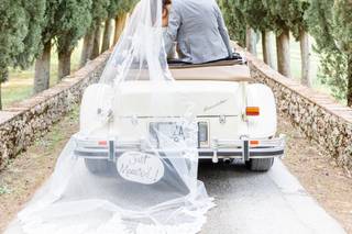 Brianne Johnson Photography - 5