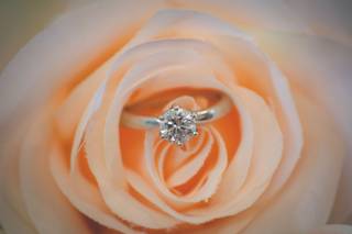 Stephanie Michelle Photography - 13