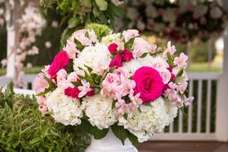 Tropic all Blooms n' More - 29