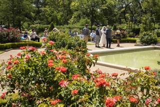 Mike Lewis Photography - 6