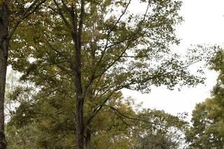 Basking Ridge Country Club Catering - 25