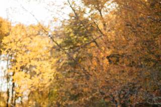 Alicia Martire Photography - 8
