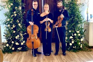 SUMMIT Strings - 38