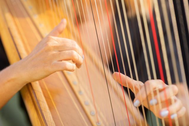 Adrienne Knauer Harpist - 1