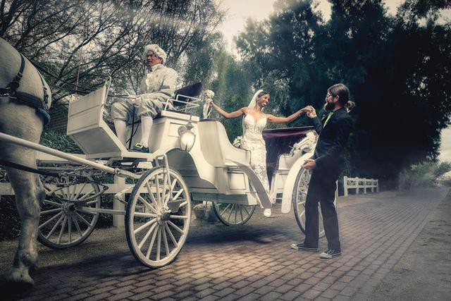 Mark Wangerin Photography - 4
