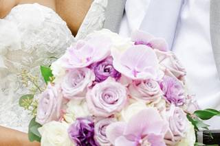 Sarandipity Floral - 16