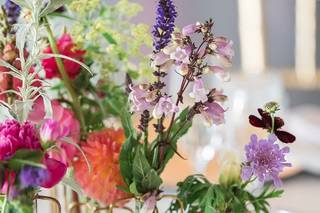 Farmside Gardens & Florist - 10