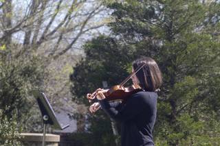 Jennifer Johnson Wedding Violinist - 21