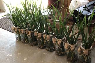 C&S Event Rentals - 55