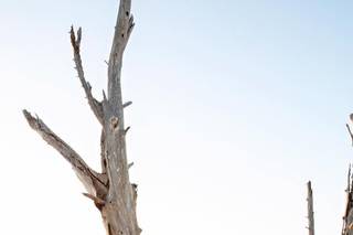 Emma Burdis Photography - 34