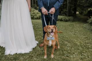 Haley O'Callaghan Photography - 8