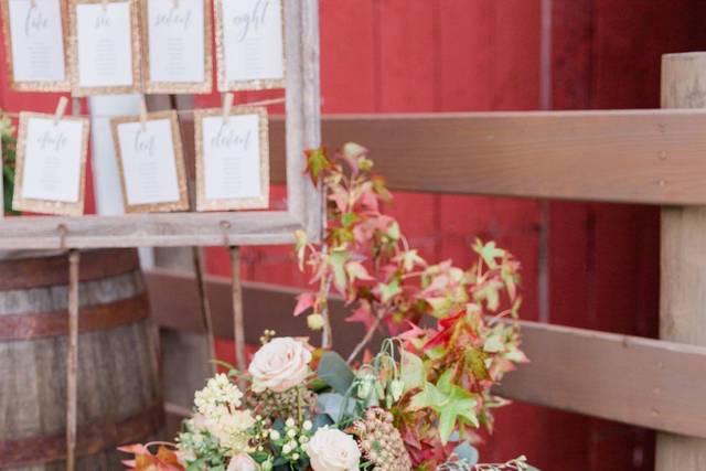 Treasure Chest Relic & Rustic Rentals 2