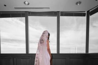 Paper Birch Collective - 17