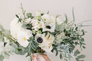Snowdrop Flowers - 40