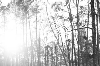 Katie B Creative - 12