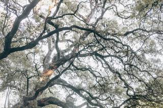 Leah Muse Photography - 135