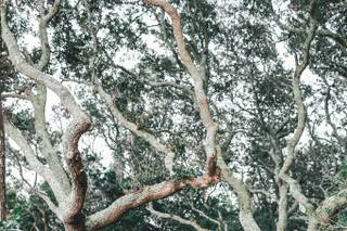 Coastal Shots Photography - 112