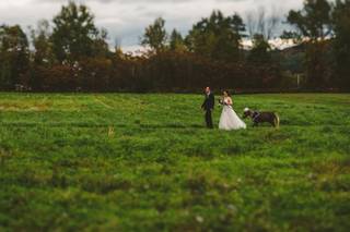 Todd Wilson Images - 11