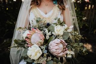 Cecilia Harvard Photography - 59