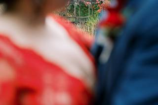 Apollo Fotografie {Photography & Videography} - 37