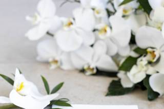 Claudia Amalia Photography - 24