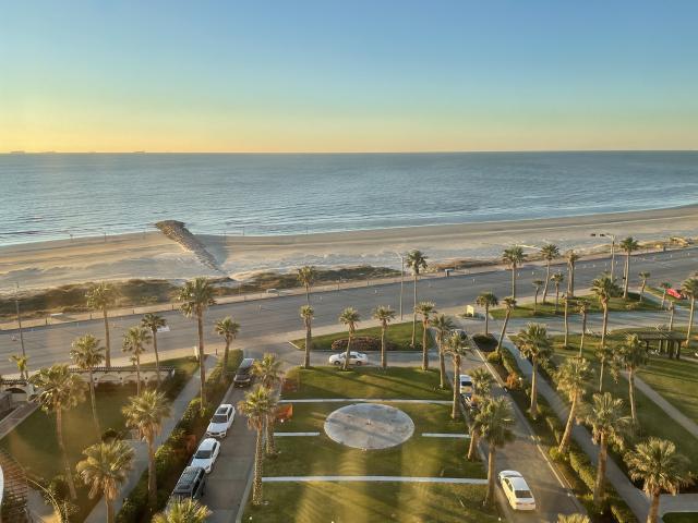 Grand Galvez - 1