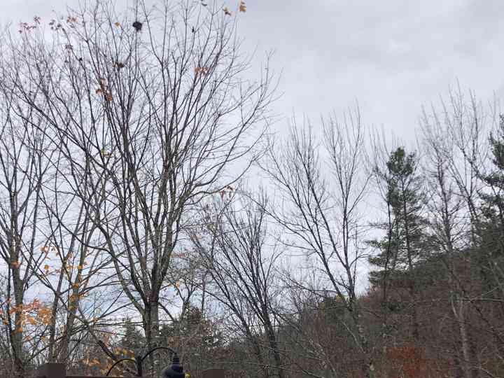 Mad River Barn Venue Waitsfield Vt Weddingwire