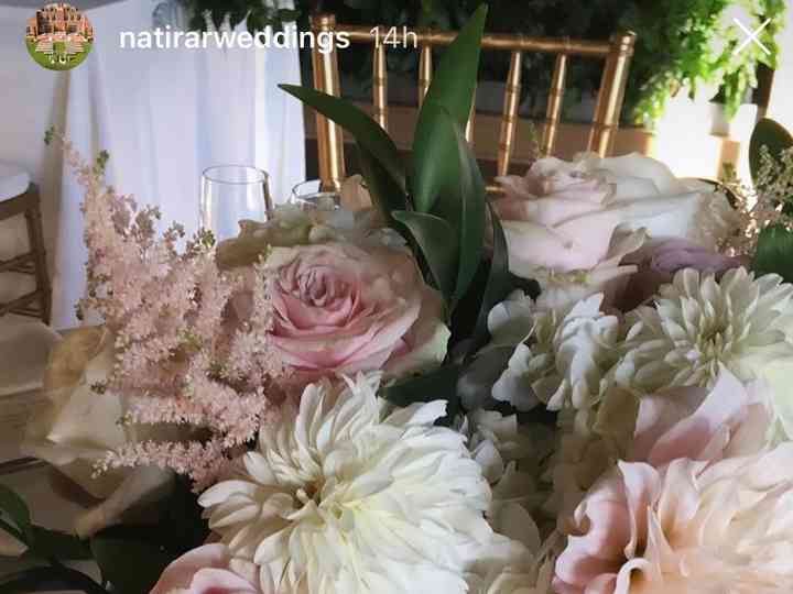 Jardiniere Fine Flowers Flowers Far Hills Nj Weddingwire