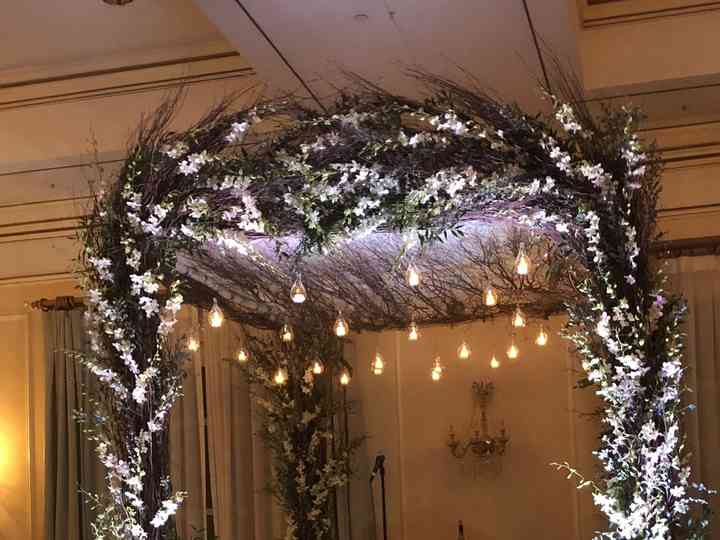 Amaryllis Event Decor Reviews Northvale Nj 44 Reviews