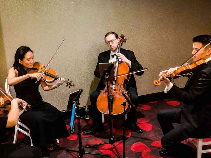 Sage string quartet information