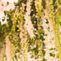 Life in Bloom 8