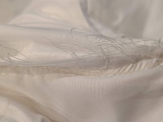 bluebird bridal
