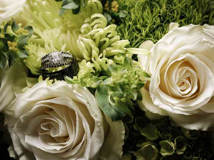 Silver Springs Floral Gift Flowers Albuquerque Nm Weddingwire