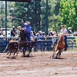 Cheyenne