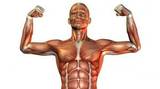 mkebride