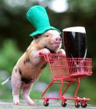 Katie