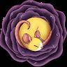 C Rose