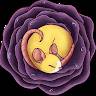 C Rose