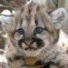 Linda